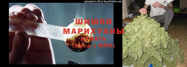 трава Осинники