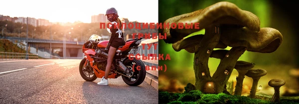 прущая мука Баксан